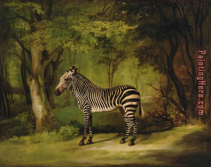 George Stubbs A Zebra